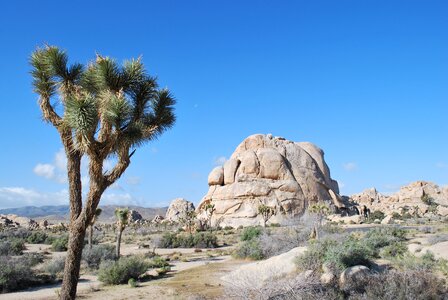 Landscape scenic desert photo