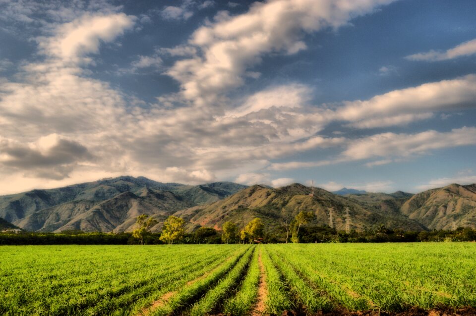 Field clouds sky photo