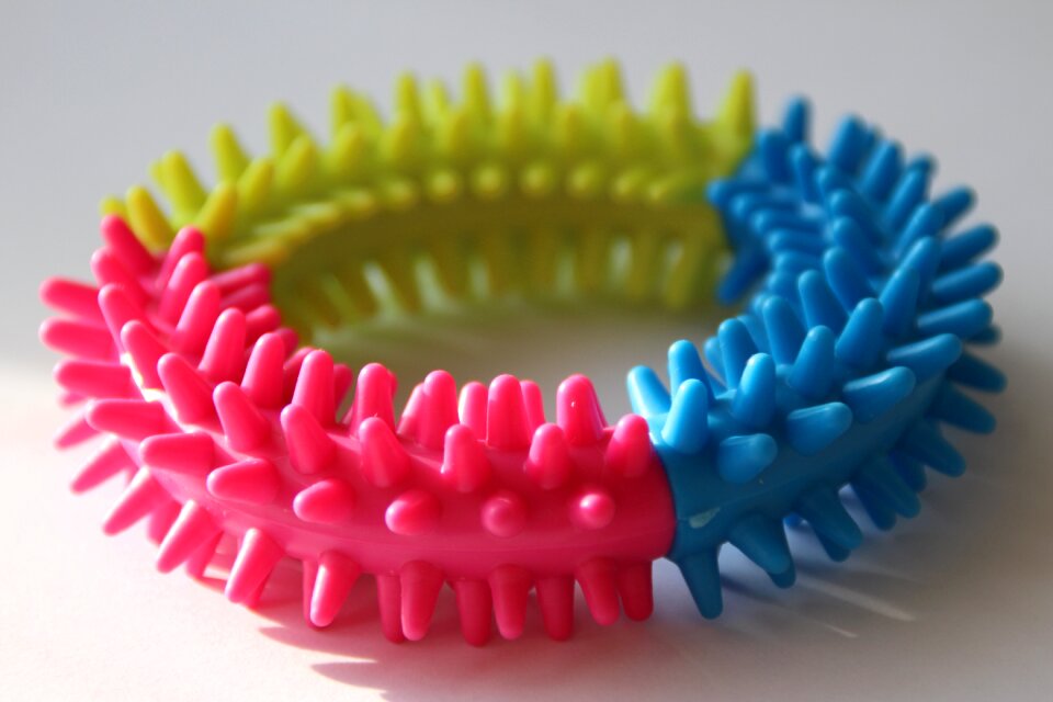 Spines colors round