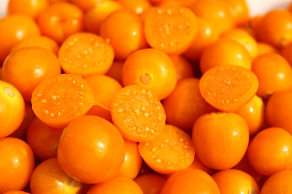 Exotic colombia orange