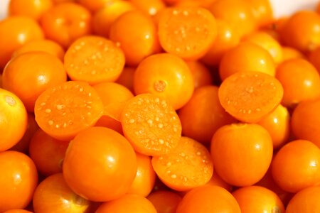 Exotic colombia orange