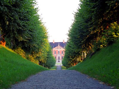 Row of trees trees germany photo