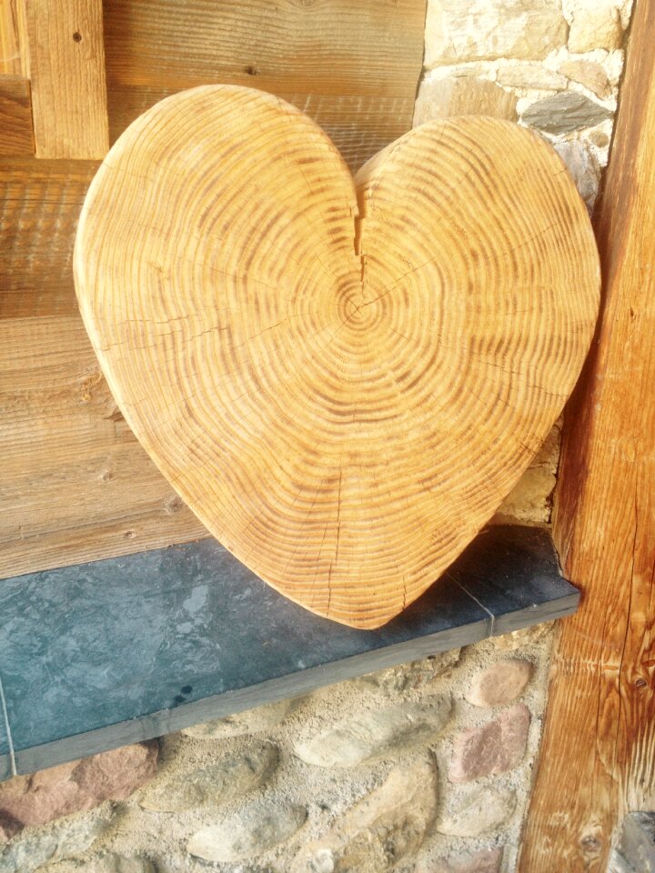 Nature heart in the wood love