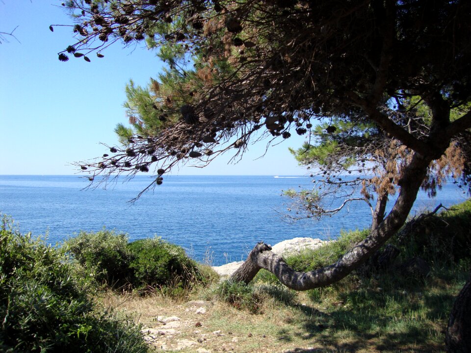 Coast sea horizon