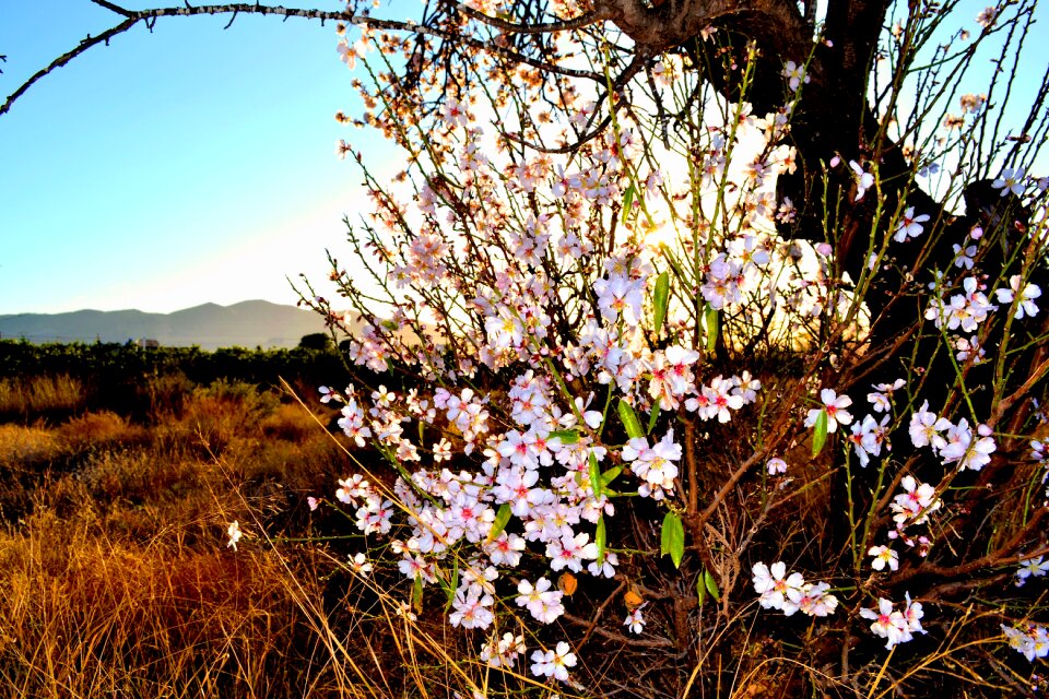 Nature landscape scenic