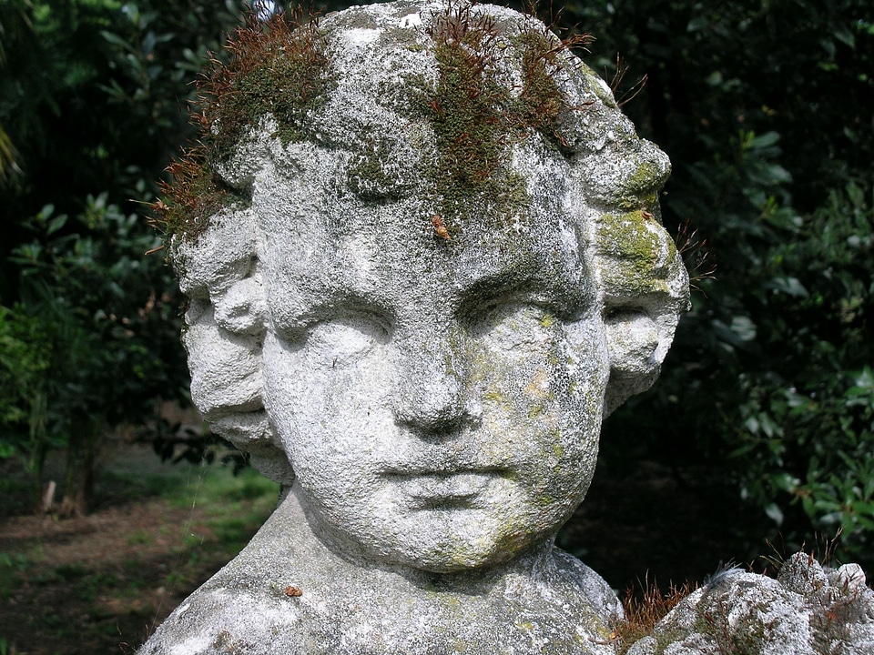 Particular head angel