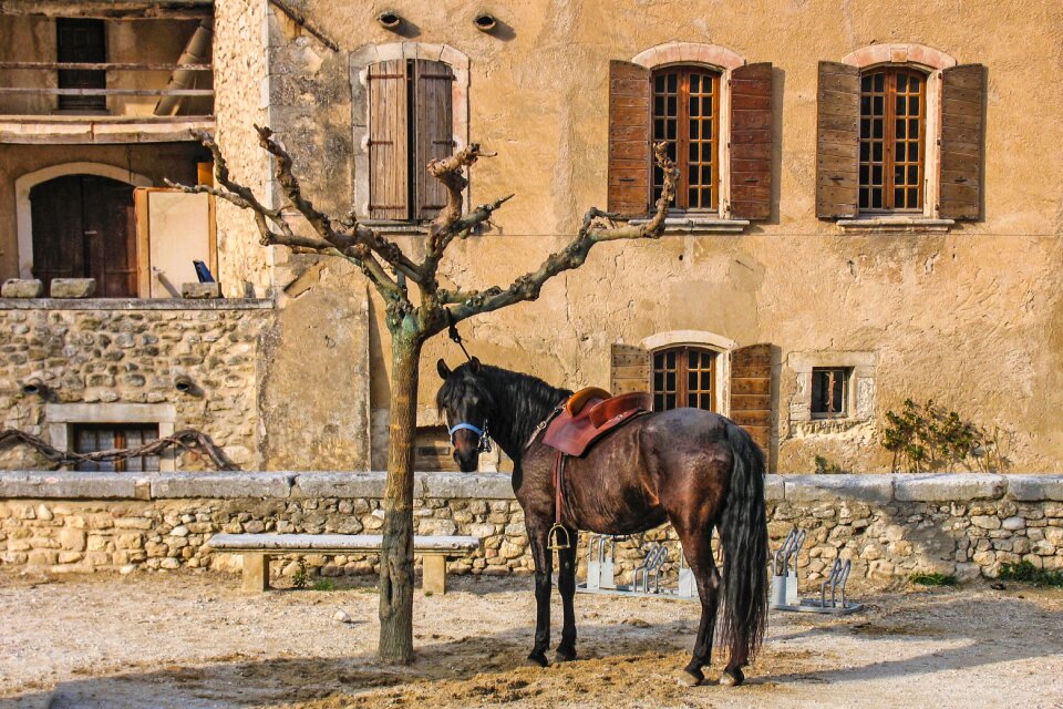 Connected brown provence
