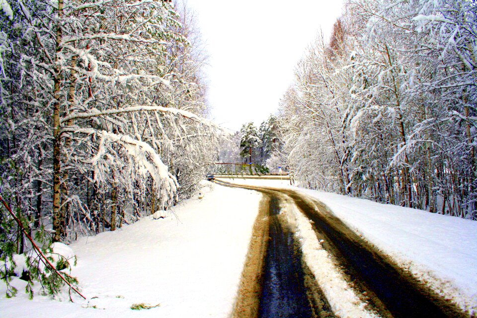 Closeup nature winter