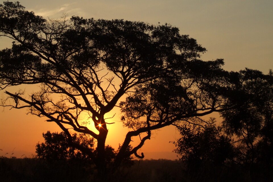 Sky sun silhouette