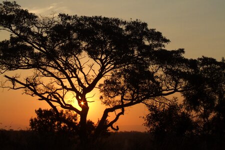 Sky sun silhouette photo