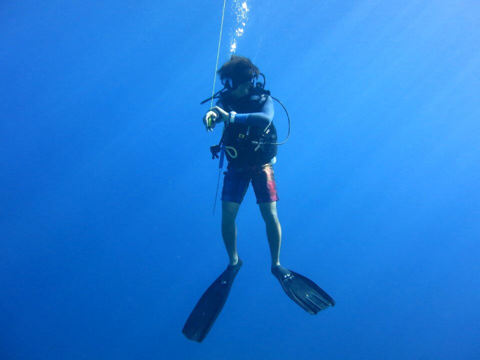 Safety stop scuba diver sea