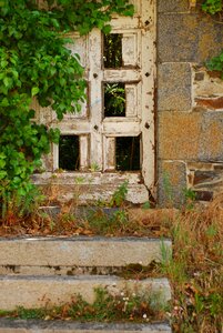 France peek through photo