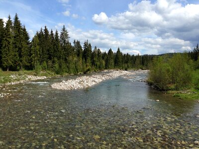 Protein landscape the high tatras photo