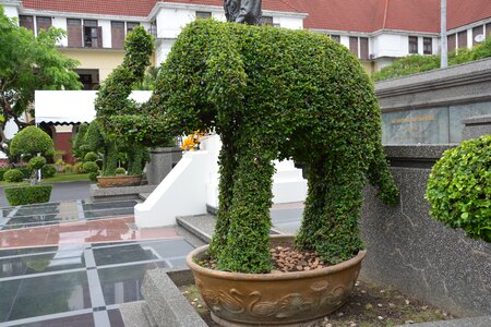 Leaf animal design