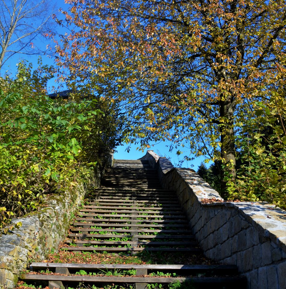 Autumn stair step stone wall