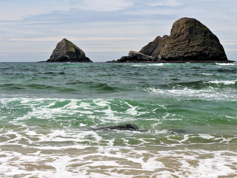 Water beach nature