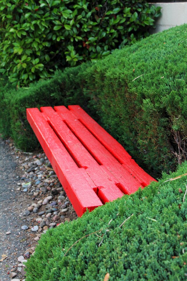 Park relaxation relax
