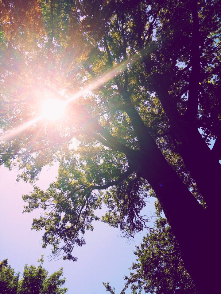 Sunlight sky light