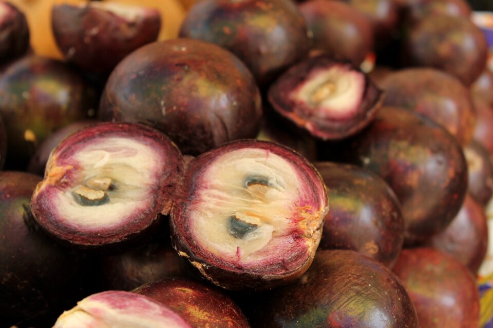 Purple white exotic