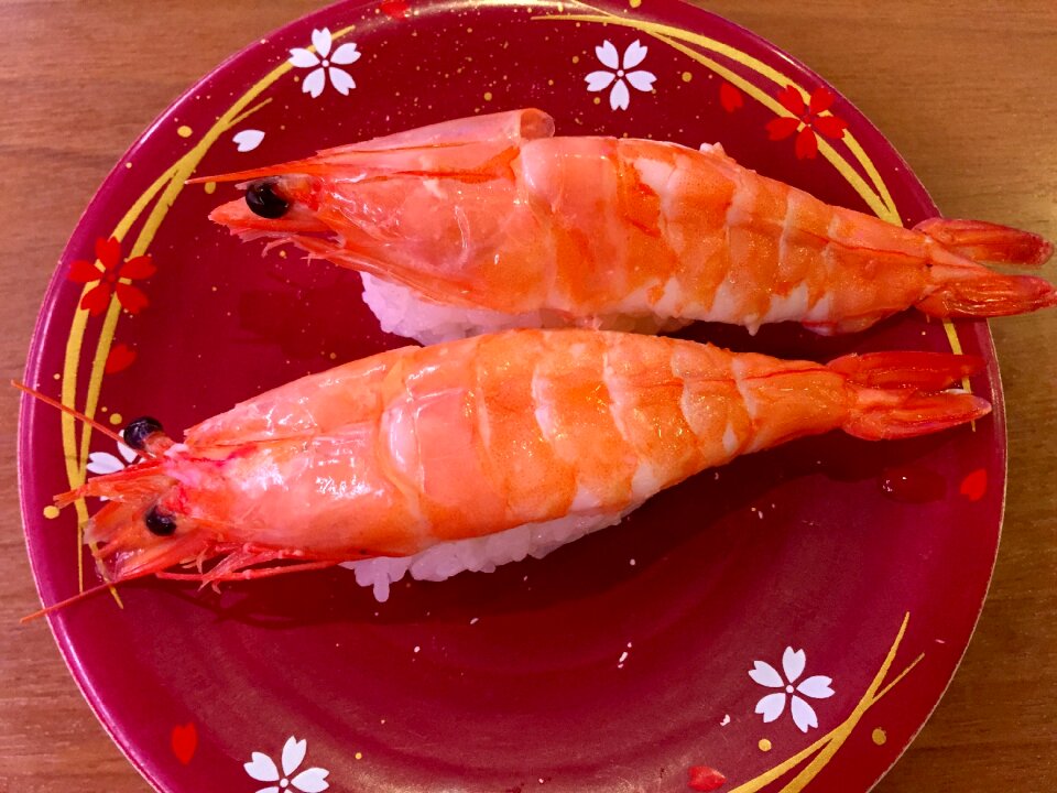 Food cuisine japan