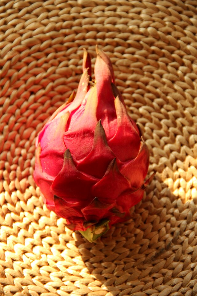 Exotic red skin bai nei
