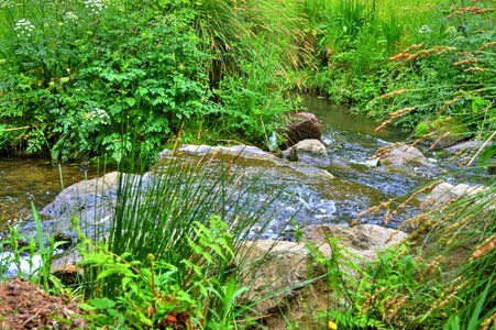 Waterfall nature river photo