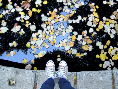 Pond travel traveller