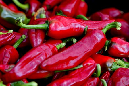 Espelette espelette pepper basque country