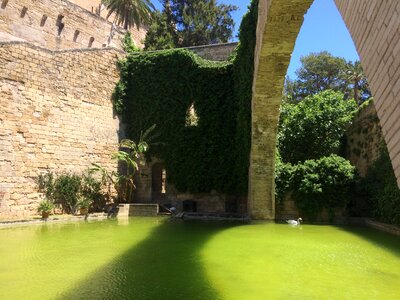 Cathedral sun summer