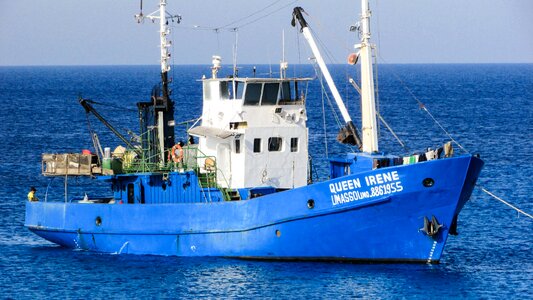 Sea cyprus