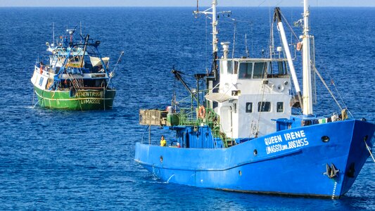 Sea cyprus