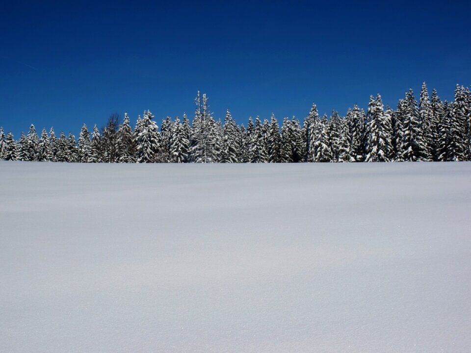 White snowy cold