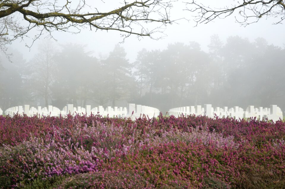 Second world war war tribute