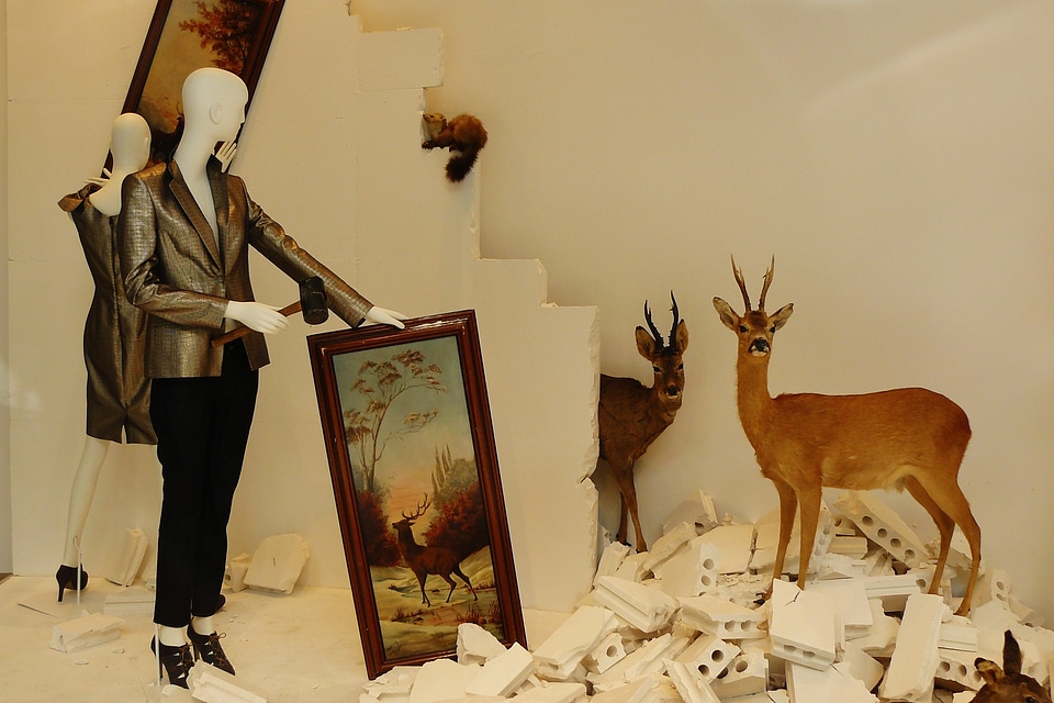 Display dummy shopping shop window