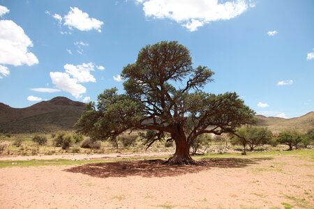 Scenery outdoor reserve