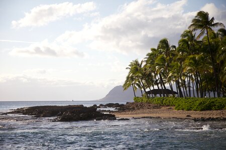 Travel vacation hawaii beach photo