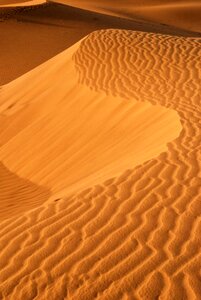 Golden sand sand dunes desert photo