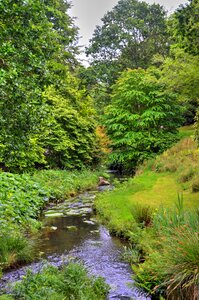 Nature landscape green