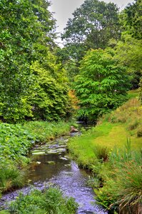 Nature landscape green photo