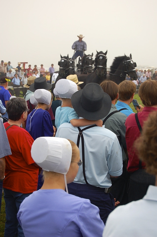 Women people amish gathering