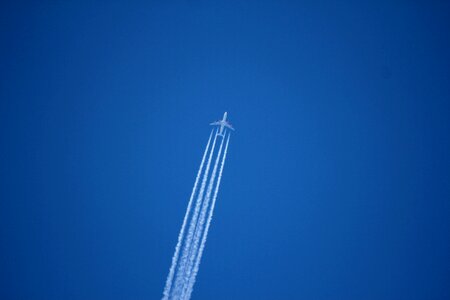Blue sky fly