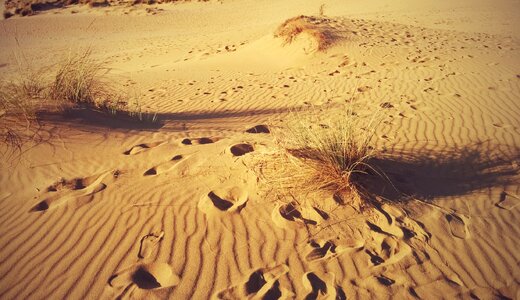 Sardinia hot summer