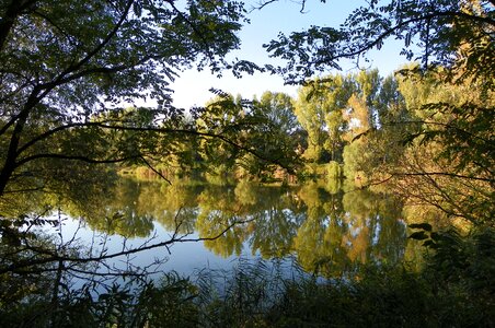 Nature waterfront lakeside