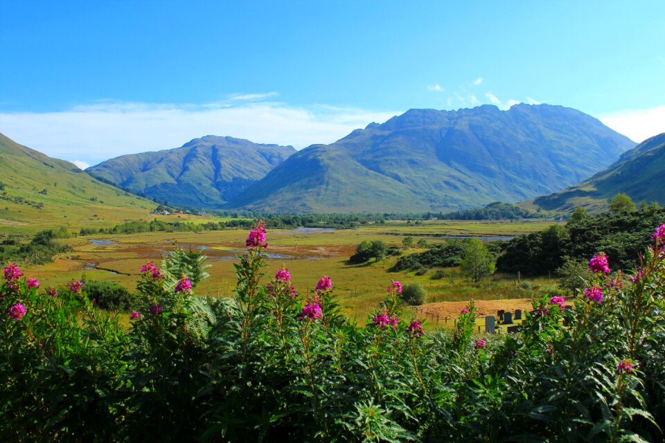 Mountains flowers landscape
