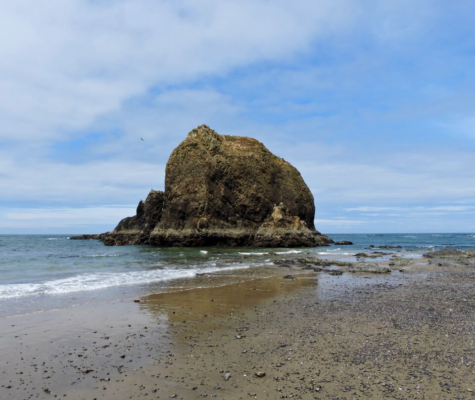Water beach nature