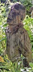 Figure wood witches garden