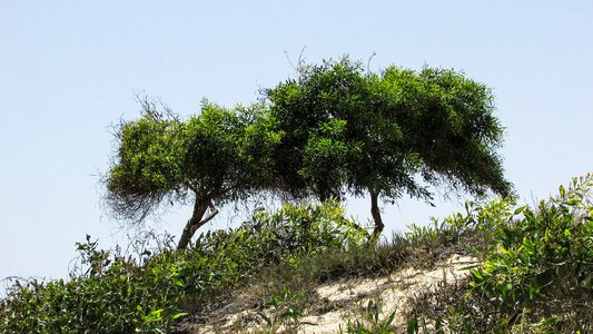 Landscape scenery cyprus photo