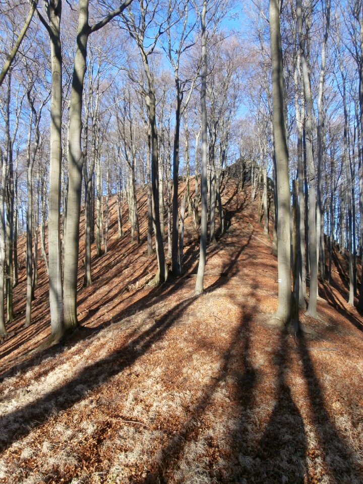 Light nature shadow
