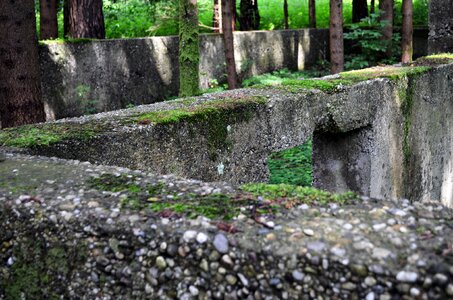 Toronto ruin dachau