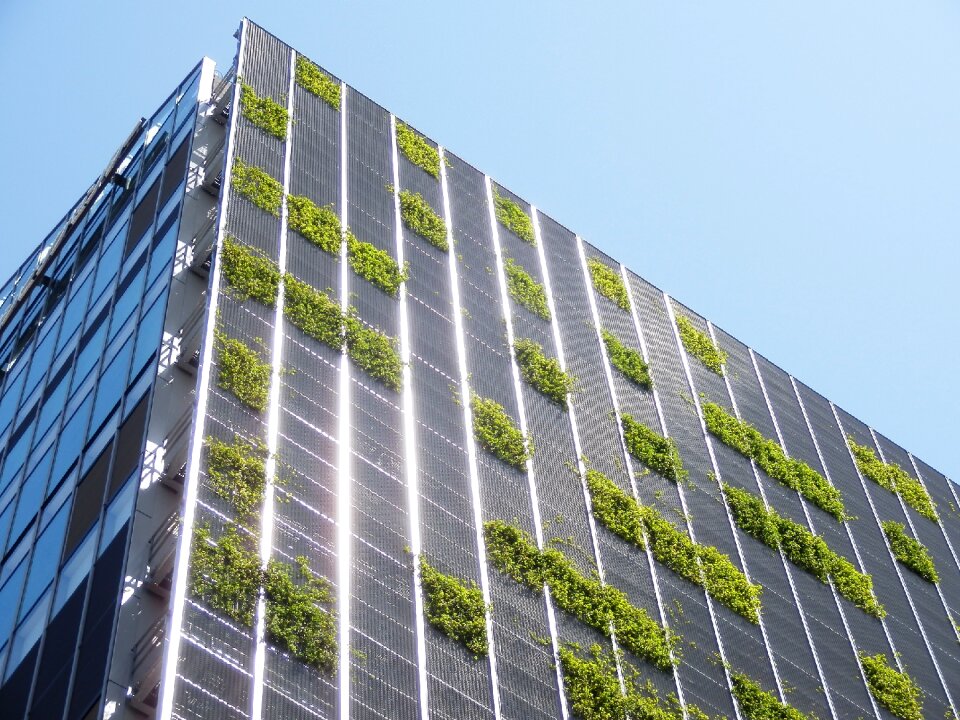 Wall greening sunlight